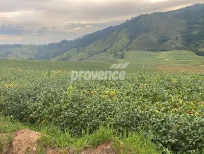 Fazenda para Venda, em Serra Negra, bairro Centro