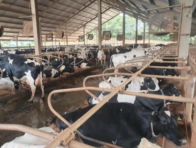 Fazenda para Venda, em Itapetininga, bairro Zona Rural, 5 dormitrios, 5 banheiros, 5 sutes, 5 vagas