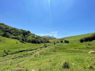 Fazenda para Venda, em Pindamonhangaba, bairro Centro