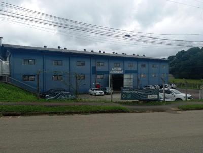 Galpo para Venda, em Campo Magro, bairro Zona rural