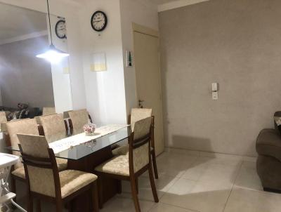 Apartamento para Venda, em So Jos do Rio Preto, bairro Residencial Santa Filomena, 2 dormitrios, 1 banheiro, 1 vaga