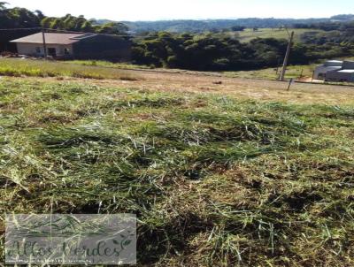 Terreno para Venda, em Monte Alegre do Sul, bairro Centro