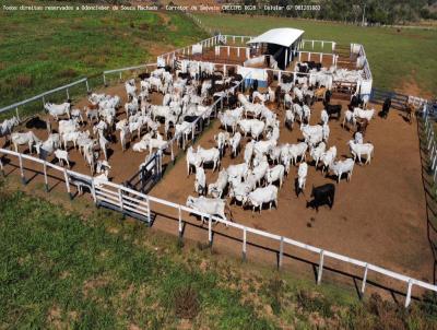 Fazenda para Venda, em Aparecida do Taboado, bairro Zona Rural