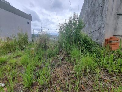 Terreno para Venda, em Videira, bairro Vinhedo