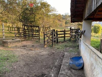 Casa para Venda, em Pinhalzinho, bairro Rosa Mendes, 6 dormitrios, 9 banheiros, 3 sutes, 7 vagas