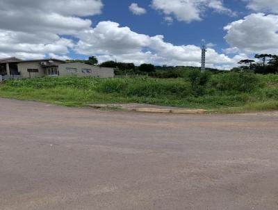 Terreno para Venda, em Paverama, bairro Centro