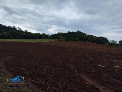 Terreno para Venda, em Vargem, bairro Guaraiuva