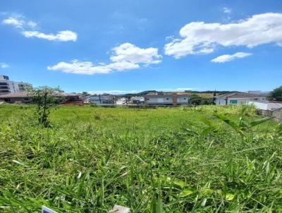 Terreno para Venda, em Palhoa, bairro Pedra Branca