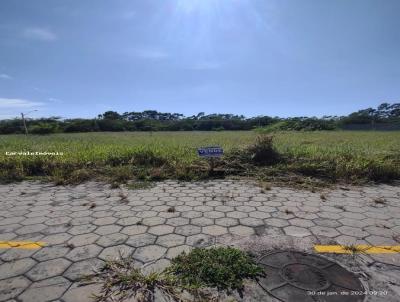 Terreno para Venda, em Pindamonhangaba, bairro Vila Castro