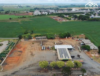 Sala Comercial para Locao, em Arapoti, bairro S/B