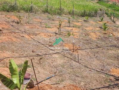 Chcara para Venda, em Governador Valadares, bairro Baguari