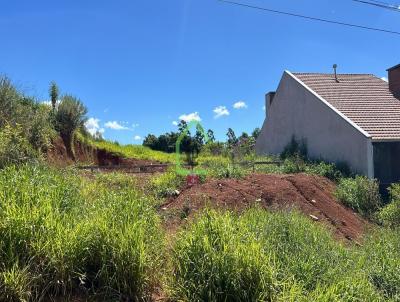 Terreno para Venda, em Santa Cruz do Sul, bairro Joo Alves