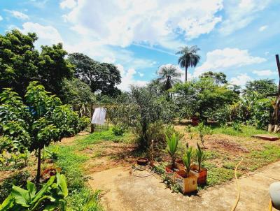 rea para Venda, em Barretos, bairro SAO FRANCISCO, 3 dormitrios, 1 banheiro, 1 sute, 7 vagas