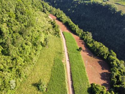 Stio / Chcara para Venda, em Santa Maria do Herval, bairro Linha Marcondes