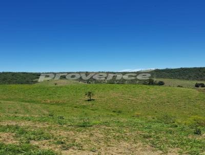 Fazenda para Venda, em Itapeva, bairro Centro