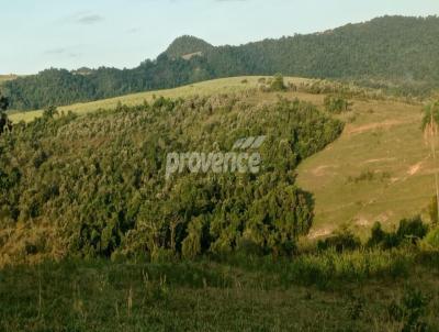 Fazenda para Venda, em Piracicaba, bairro Centro