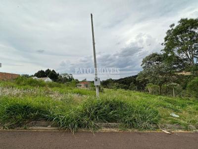 Terreno para Venda, em Pato Branco, bairro Alvorada