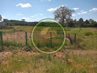 Terreno para Venda, em Ipiranga, bairro Olarias