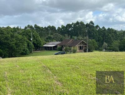 Stio para Venda, em Sentinela do Sul, bairro interior, 5 dormitrios, 3 banheiros, 1 vaga