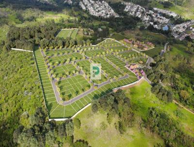 Terreno para Venda, em Mogi das Cruzes, bairro Vila Oliveira