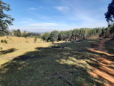 rea para Venda, em , bairro Centro