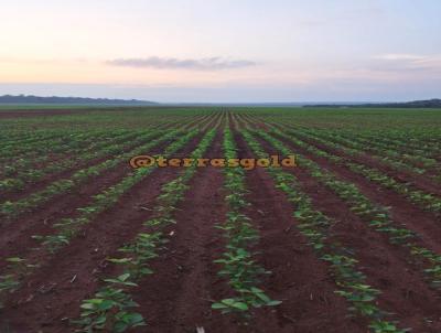 Fazenda para Venda, em So Jos do Rio Claro, bairro Zona rural