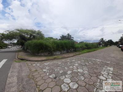 Terreno para Venda, em Perube, bairro Centro
