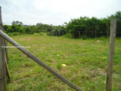 Terreno Comercial para Venda, em Limeira, bairro Jardim Santa Adlia