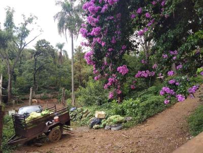 Chcara para Venda, em So Paulo, bairro Chcara Jaragu