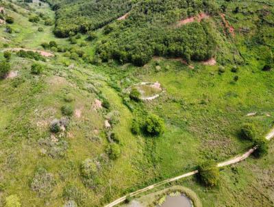 Fazenda para Venda, em Itanhomi, bairro Parado