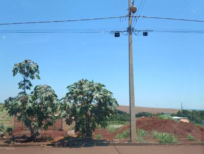 Terreno para Venda, em So Joo do Iva, bairro Residencial Paulo Lopes Dias