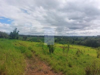 Stio para Venda, em Boituva, bairro Parque das rvores, 3 dormitrios, 2 banheiros, 1 sute