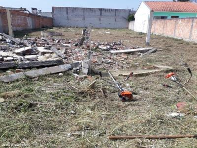 Terreno para Venda, em So Jos dos Pinhais, bairro Roseira de So Sebastio