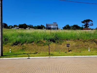 Terreno para Venda, em Ivoti, bairro Palmares