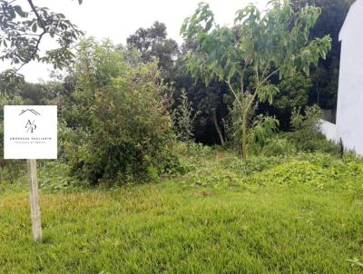 Terreno Urbano para Venda, em Nova Petrpolis, bairro Linha Imperial