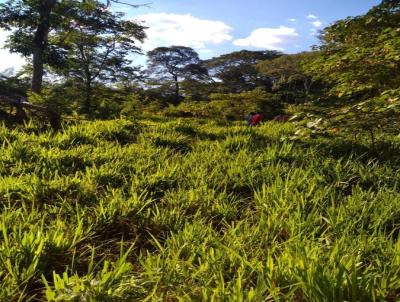 Stio para Venda, em Nobres, bairro 75 HECTARES COQUIERAL, ACEITO PERMUTA, 985 MIL