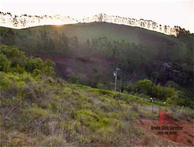 Terreno para Venda, em Juiz de Fora, bairro Graminha