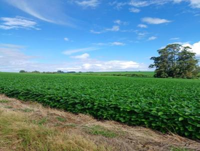 rea Rural para Venda, em Boa Vista do Incra, bairro INTERIOR