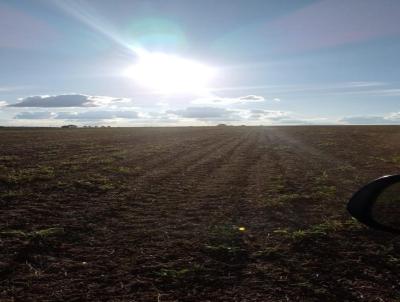 rea Rural para Venda, em Cruz Alta, bairro INTERIOR