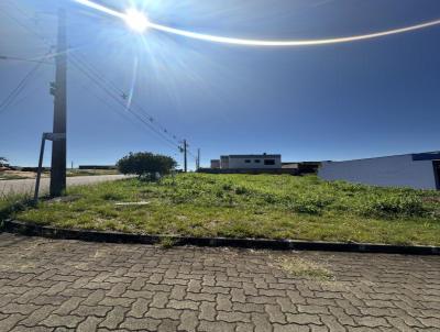 imagem-miniatura