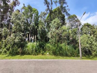 Terreno para Venda, em Gramado, bairro Terras Altas