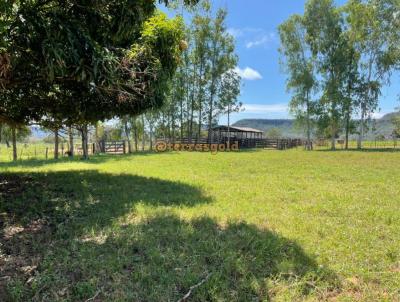 Fazenda para Venda, em Tesouro, bairro Zona rural