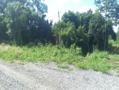 Terreno para Venda, em Gramado, bairro Serra Grande