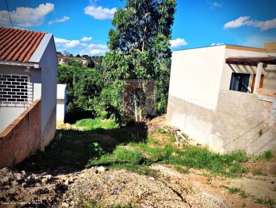 Terreno para Venda, em Jaguariava, bairro BELVEDERE