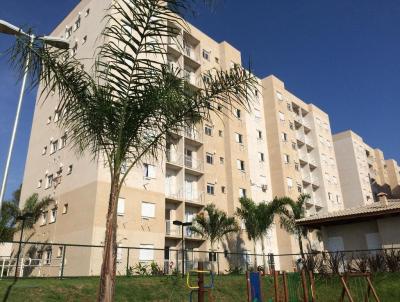 Apartamento para Venda, em So Jos do Rio Preto, bairro Residencial Santa Filomena, 2 dormitrios, 1 banheiro, 1 vaga