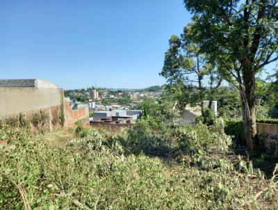 Terreno para Venda, em Sapiranga, bairro Centenrio