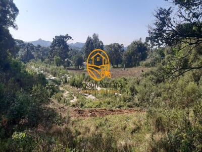 Terreno Rural para Venda, em So Mateus do Sul, bairro RURAL