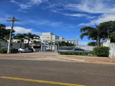 imagem-miniatura