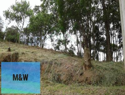 Terreno para Venda, em Rio Grande da Serra, bairro Parque do Governador