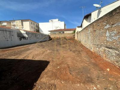 Terreno para Venda, em Birigui, bairro Centro